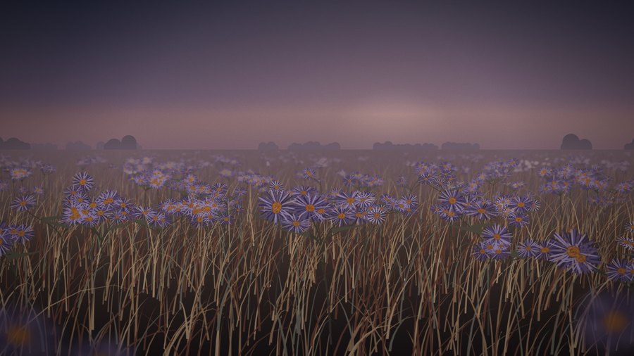 Field · dusk