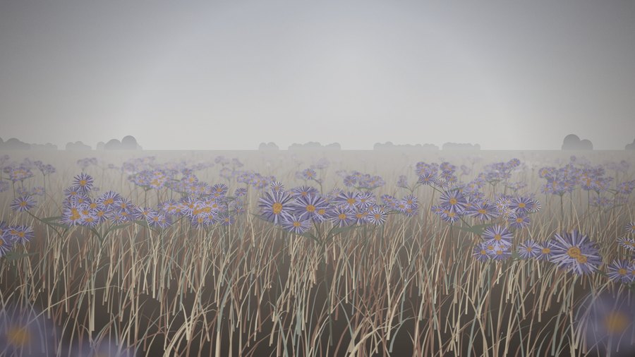Field · overcast